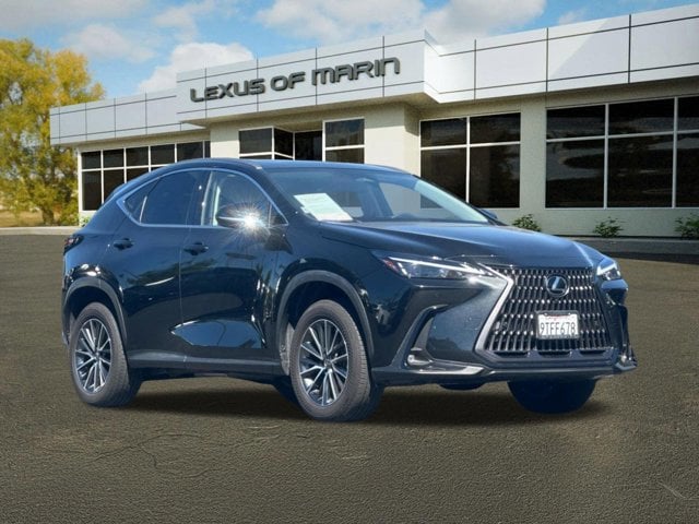 2025 LEXUS NX 350h Premium photo 6