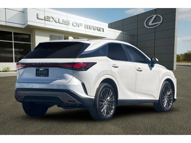 2023 LEXUS RX 350 Luxury photo 3