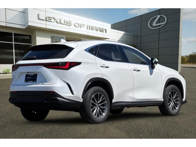 2025 LEXUS NX 350h Premium photo 3