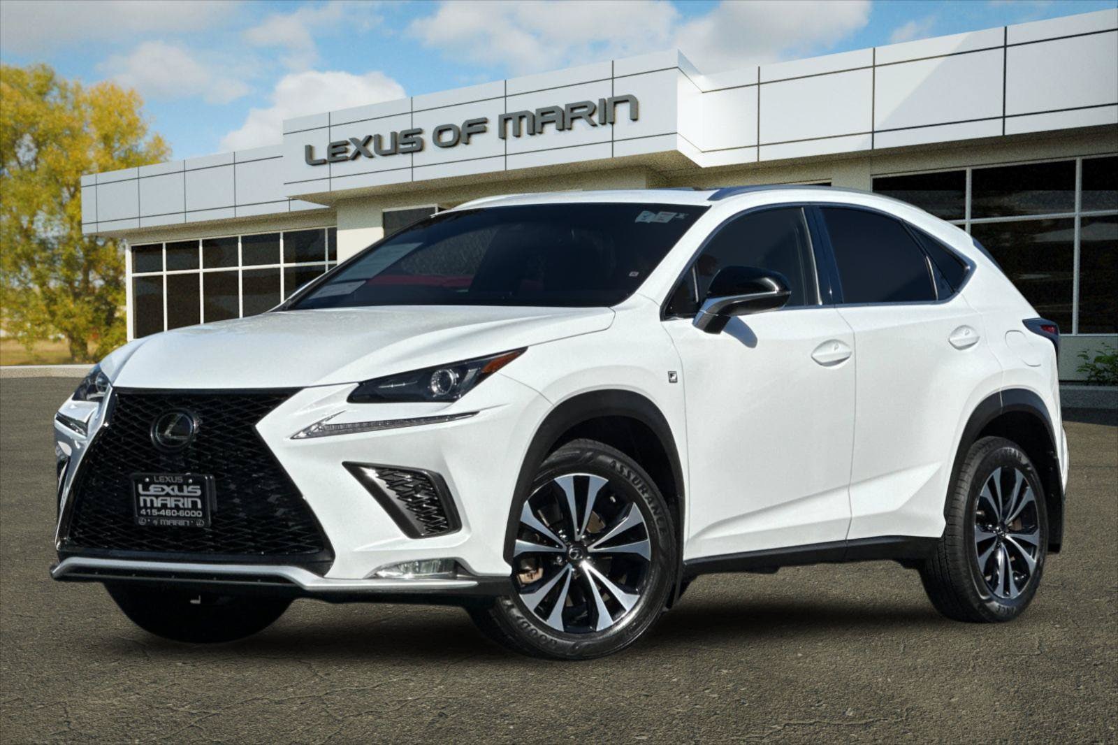 2020 Lexus NX 300 F SPORT