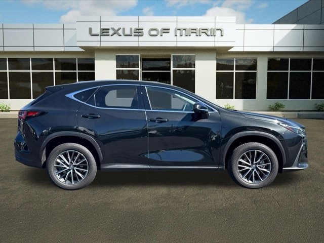 2025 LEXUS NX 350h Premium photo 3