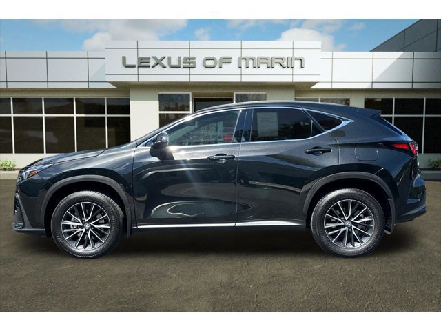 2024 Lexus NX 250 Premium photo 2