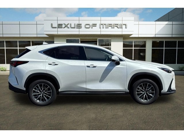 2025 LEXUS NX 350h Premium photo 6
