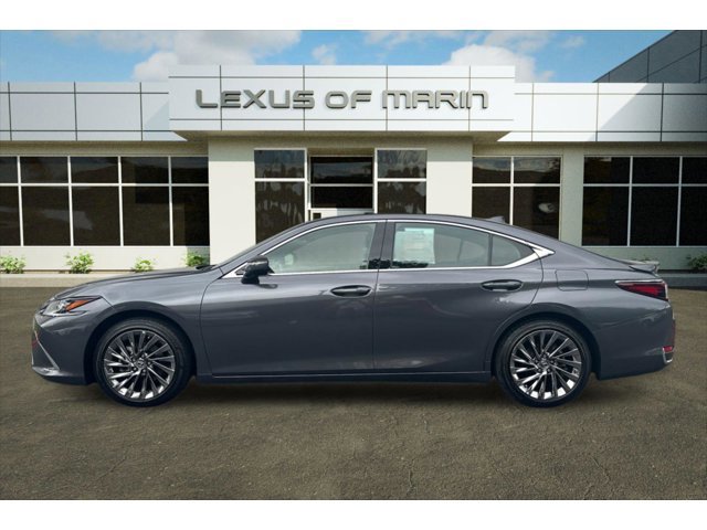 2024 Lexus ES 300h Luxury photo 2