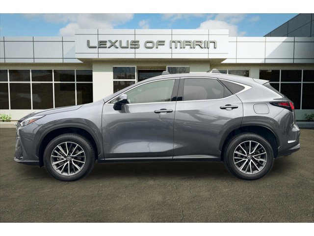 2023 Lexus NX 250 photo 2