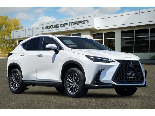 2025 LEXUS NX 350h Premium photo 6