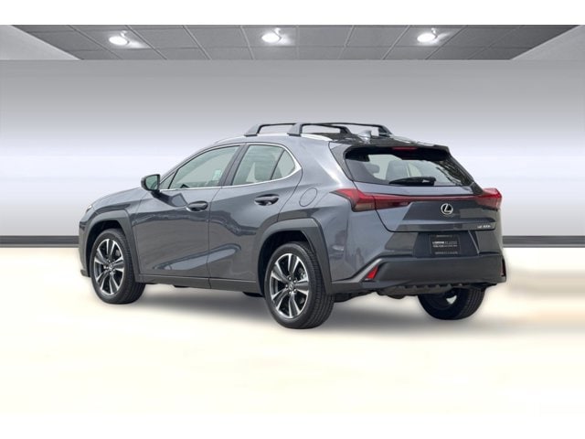 2025 LEXUS UX 300h photo 2