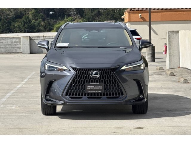 2023 LEXUS NX 350 Premium photo 5