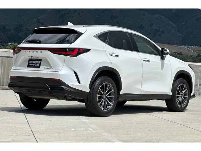 2025 LEXUS NX 250 photo 3