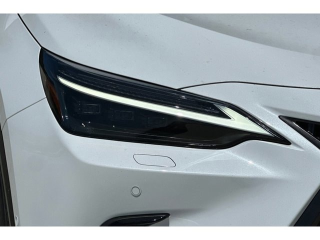 2026 Lexus NX 450h+ Luxury - Photo 10