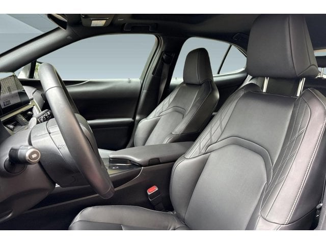 2025 LEXUS UX 300h photo 4