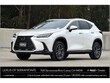  LEXUS NX 350