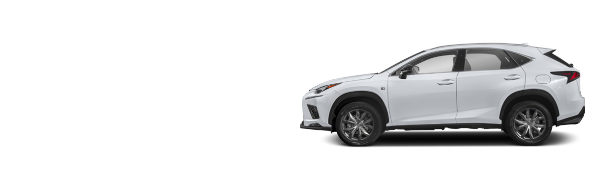 Lexus NX 300 F SPORT