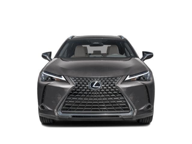 2025 LEXUS UX 300h photo 4