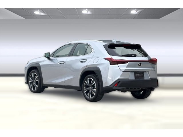 2024 LEXUS UX 250h photo 2