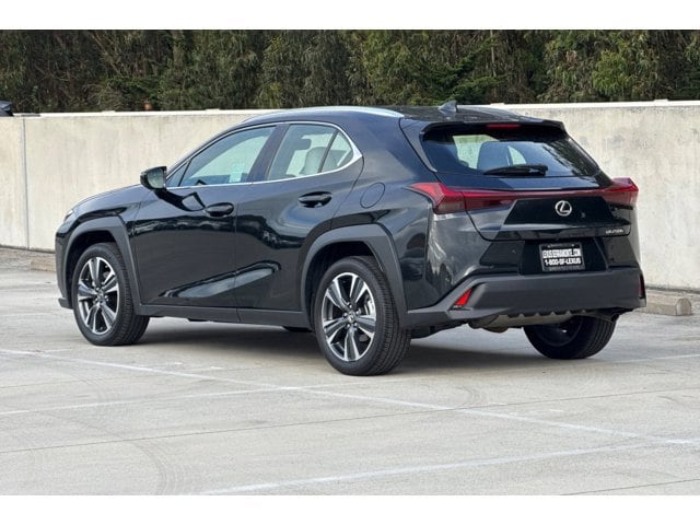 2024 LEXUS UX 250h photo 2