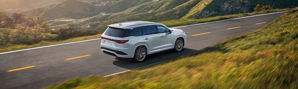 Lexus TX driving on a road in a meadow
