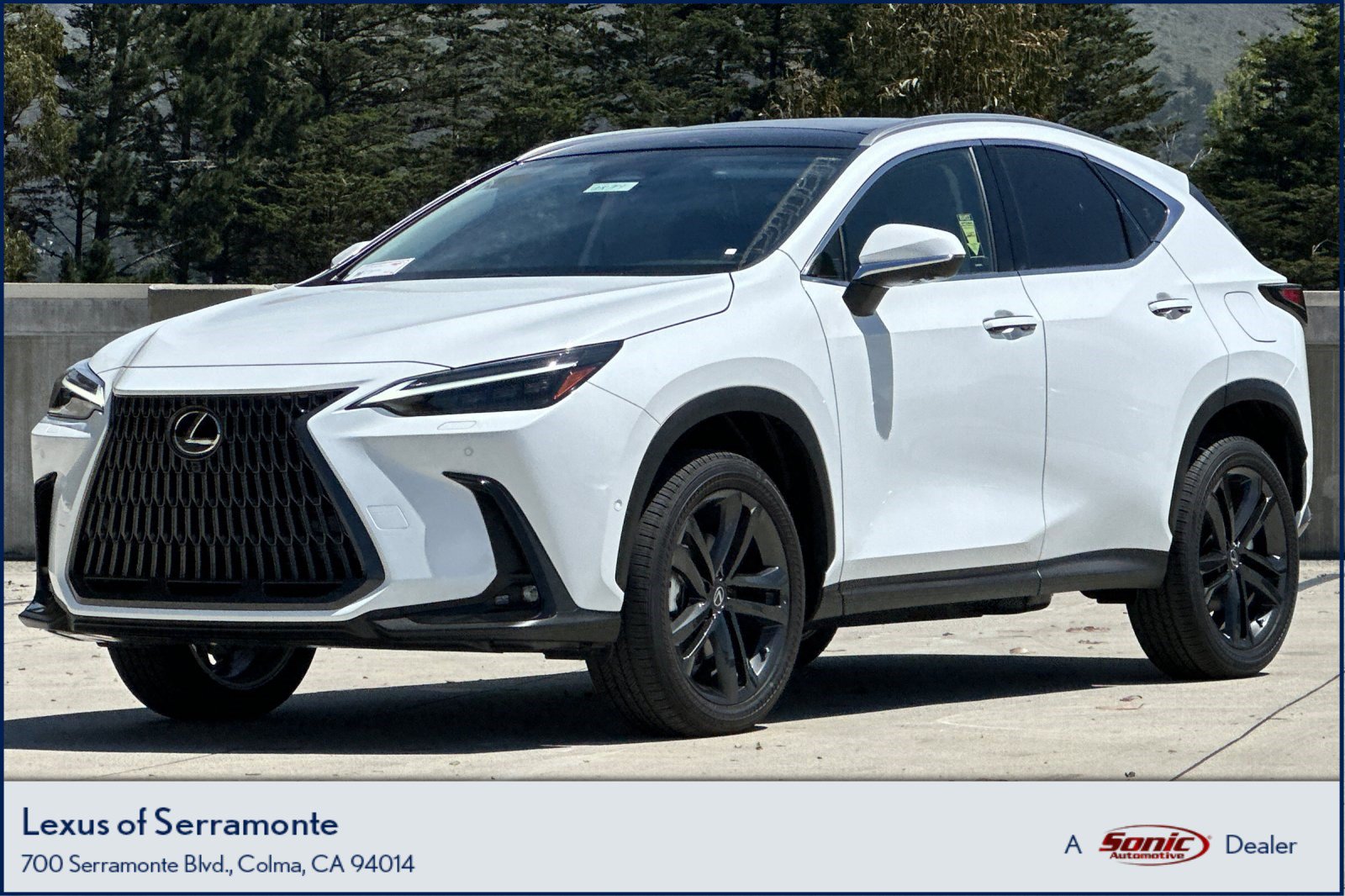 LEXUS NX 450h+