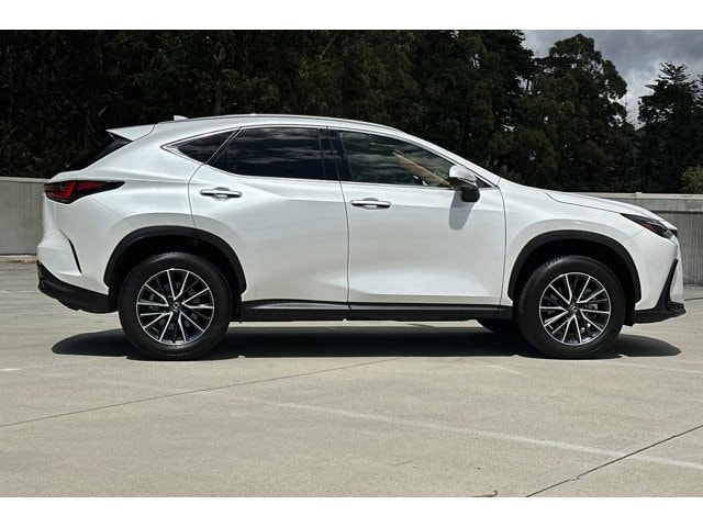 2025 LEXUS NX 250 photo 6