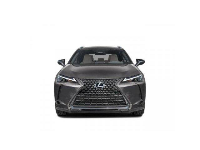 2025 Lexus UX photo 3