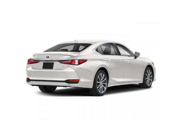 2020 Lexus ES 300h Luxury photo 2