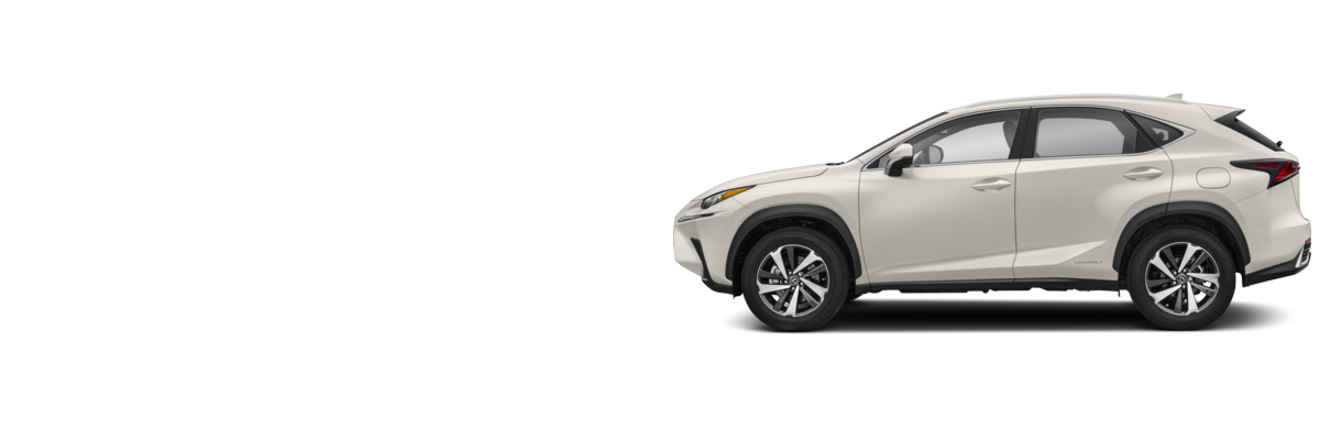 Lexus NX 300h LUXURY
