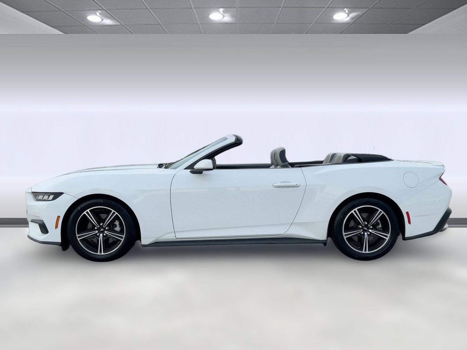 2024 Ford Mustang EcoBoost Convertible photo 2