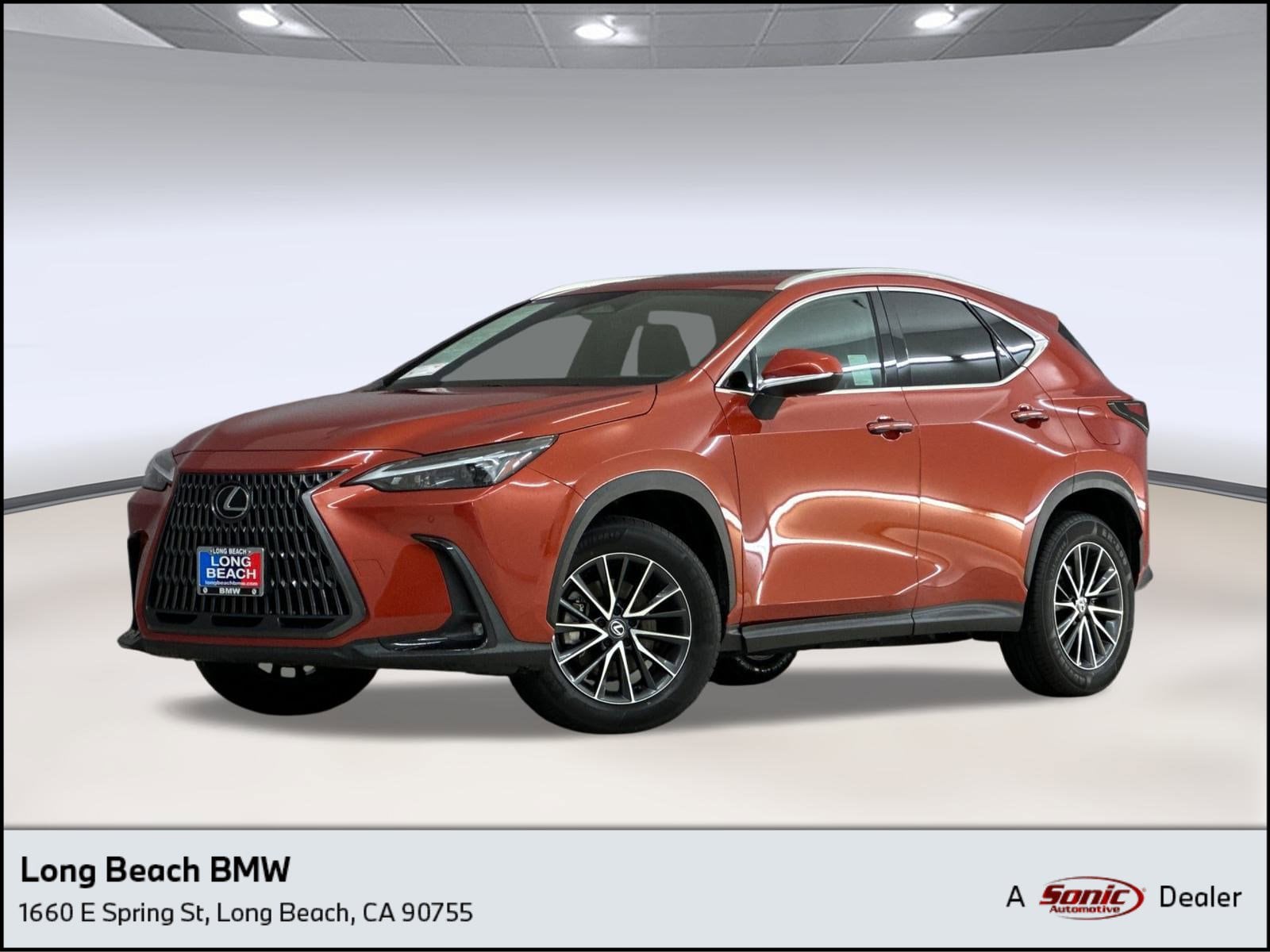 2024 Lexus NX 250's photo