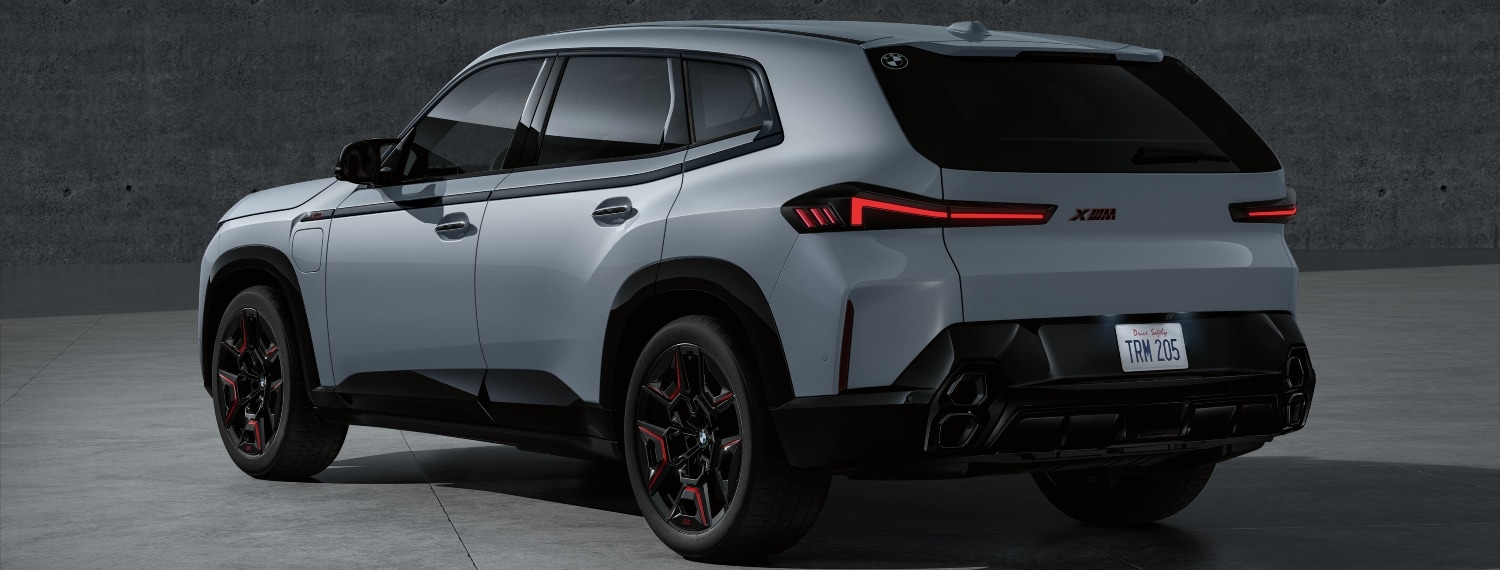 BMW XM PHEV backend