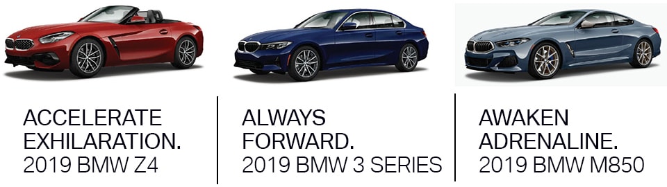 BMW-SPECIAL-LINEUP.jpg