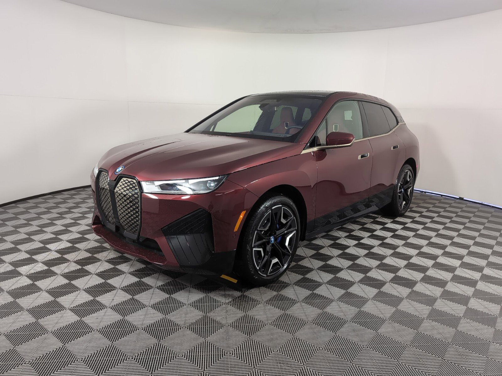 2025 Bmw iX photo 3
