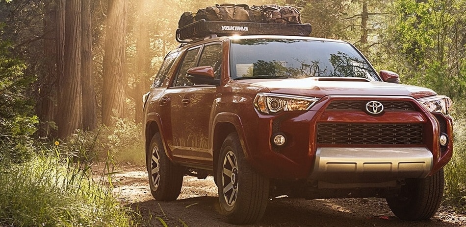 4runner Redwood Interior