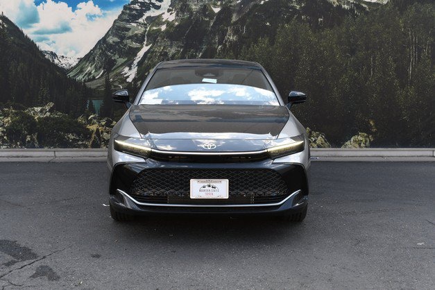 Crown Platinum Sedan
