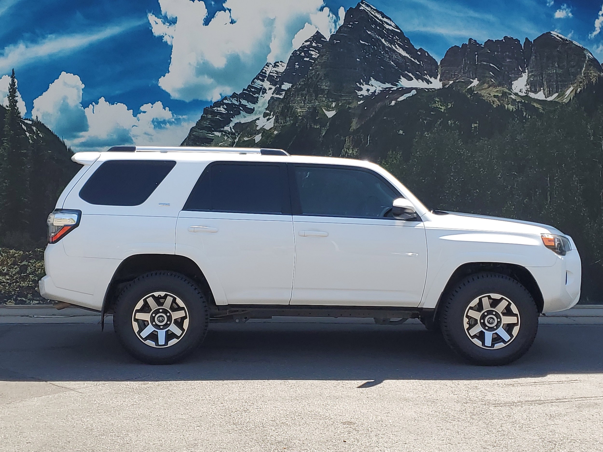 Certified 2019 Toyota 4Runner SR5 with VIN JTEBU5JR4K5655528 for sale in Denver, CO