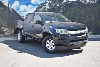 Used 2020 Chevrolet Colorado WT Truck Crew Cab in Denver