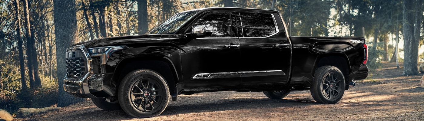 Toyota Tundra 1794 Edition parked in a forest