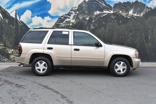 Used 2006 Chevrolet TrailBlazer LS with VIN 1GNDT13S362108466 for sale in Denver, CO