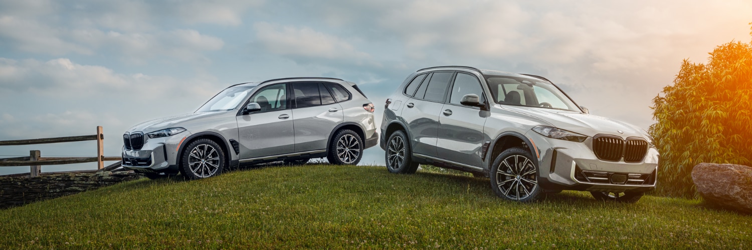 two silver BMW X5 SUVs parked in a field