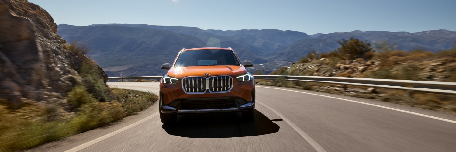new BMW X1