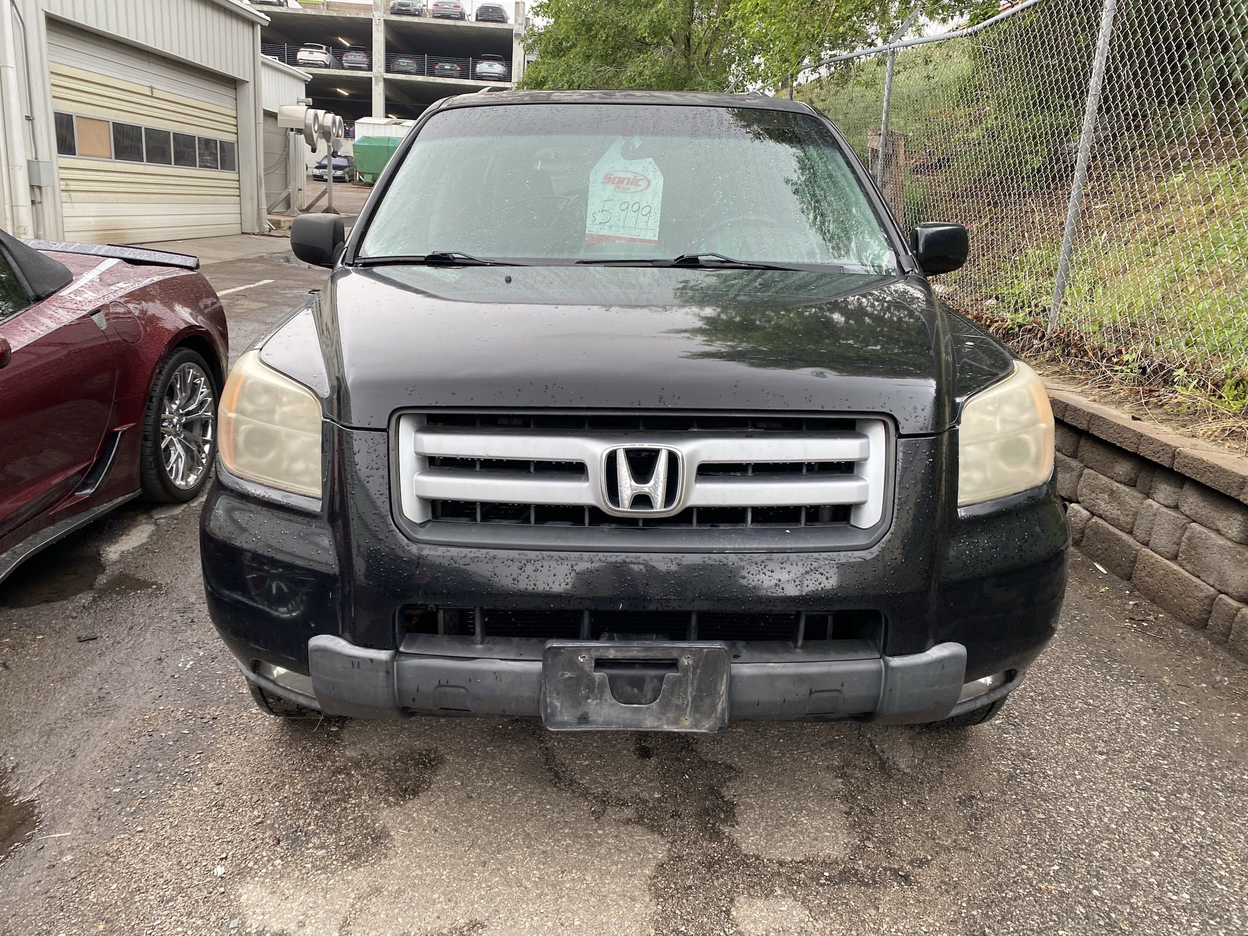 Used 2008 Honda Pilot SPECIAL EDITION with VIN 5FNYF18388B032634 for sale in Denver, CO