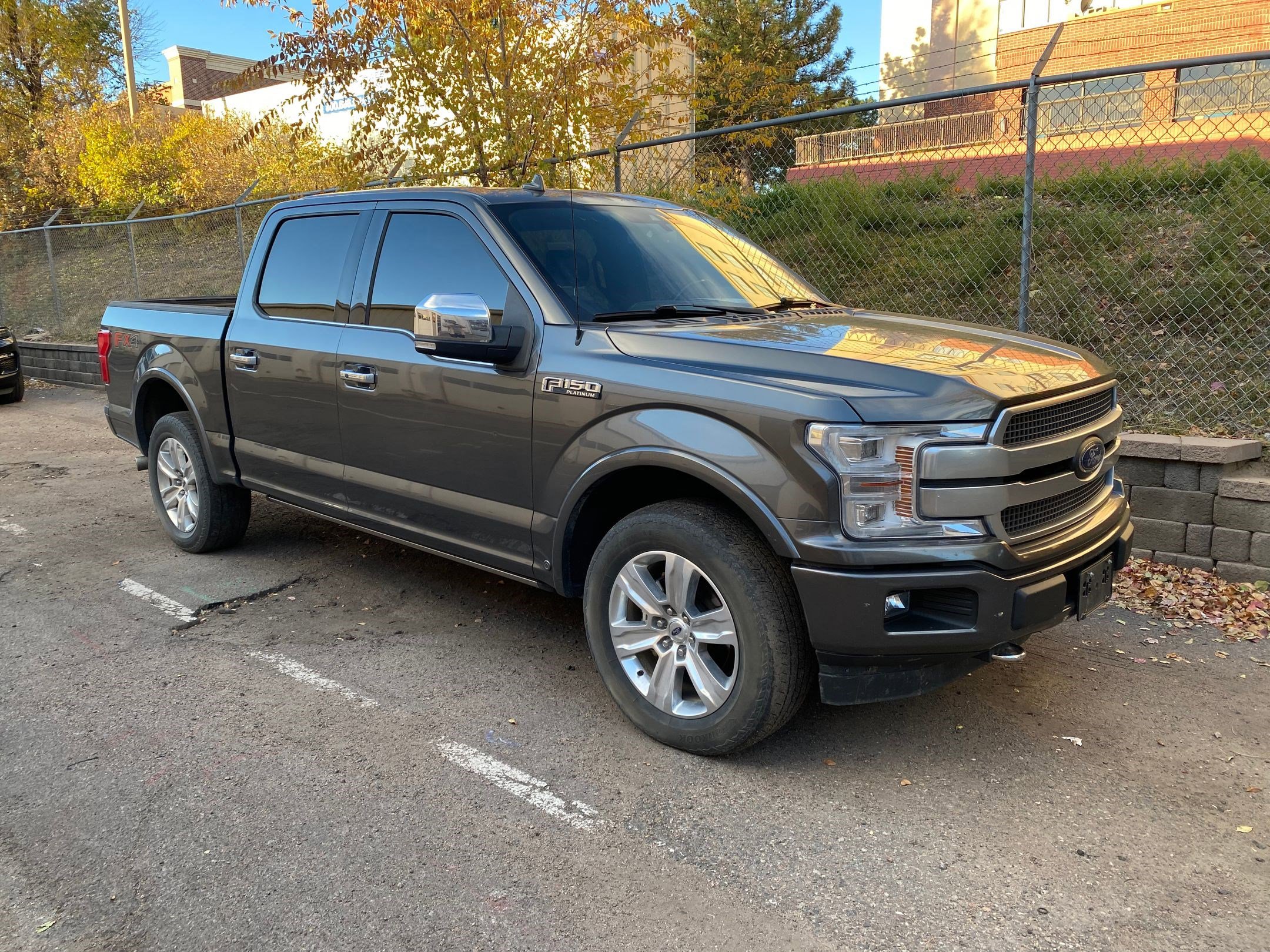 2018 Ford F-150 Platinum photo 3