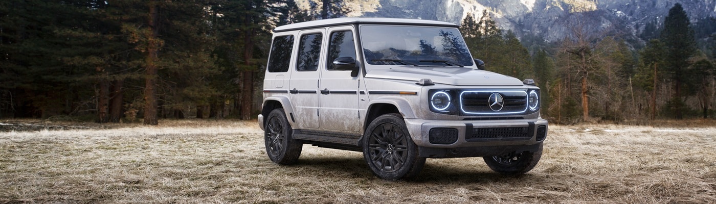 White Mercedes-Benz G-Class parked in a forest