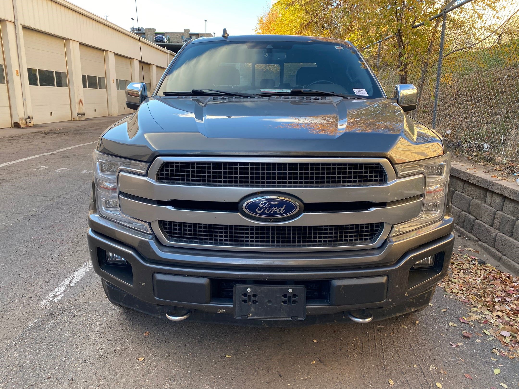 2018 Ford F-150 Platinum photo 2