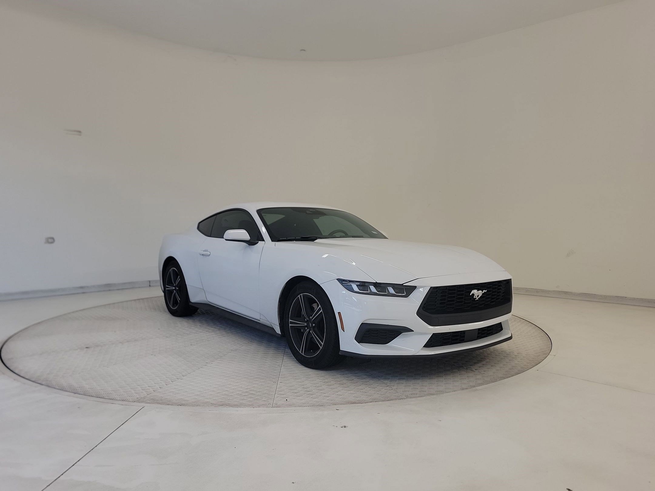 Mustang EcoBoost Coupe