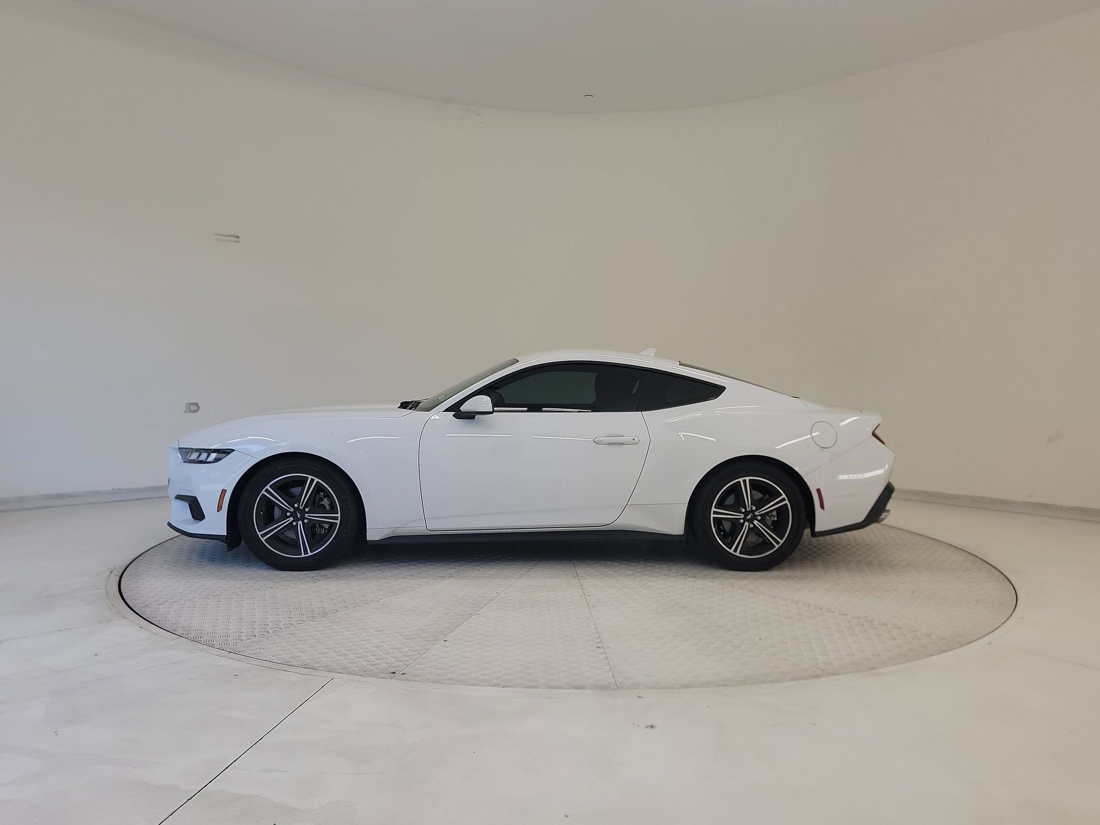 Mustang EcoBoost Coupe