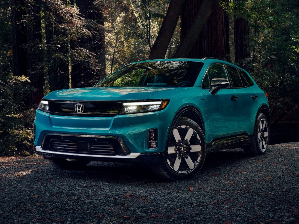 Blue Honda Prologue parked in the woods