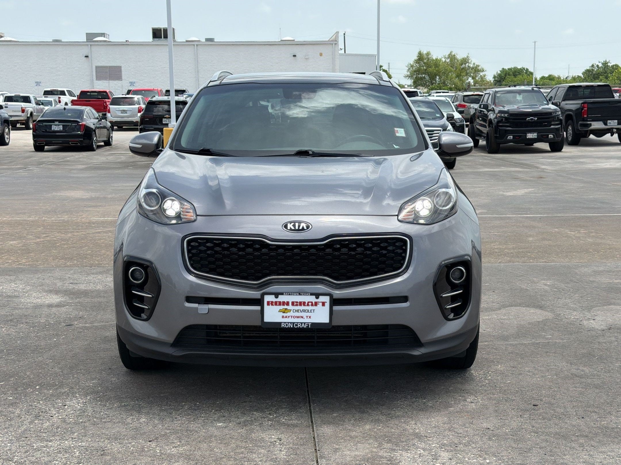 Sportage EX SUV