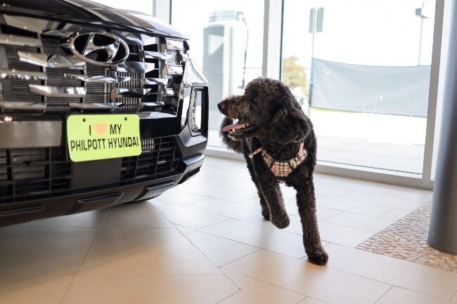 Philpott Hyundai Philpott Hyundai service drive