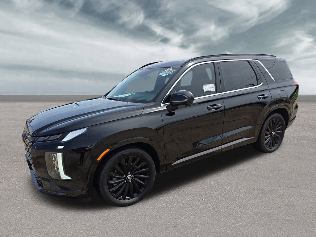 Certified 2024 Hyundai Palisade Calligraphy Night Edition For Sale near