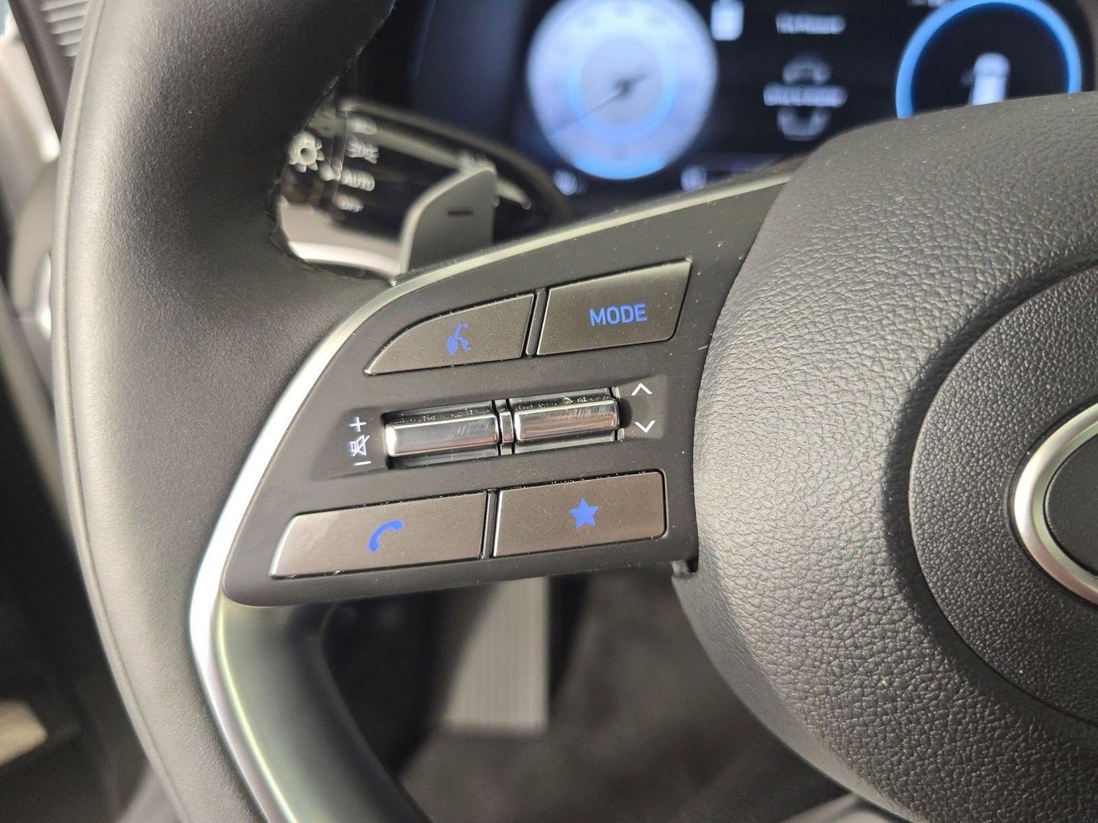 2025 Hyundai Palisade Calligraphy Night Edition - Photo 15